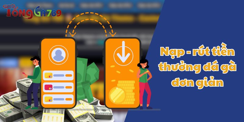 trực tiếp đá gà