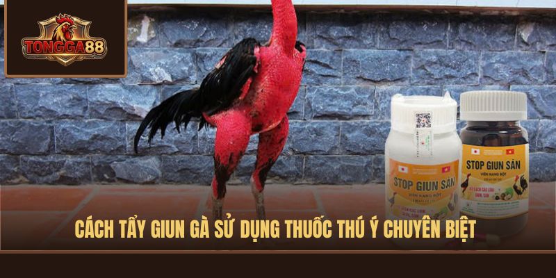 CÁCH TẨY GIUN GÀ