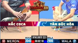 TRẬN 22 CPC3 NGÀY 11/5/2026