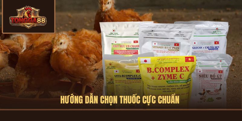 thuốc nuôi gà đá