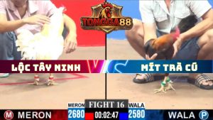 TRẬN 16 CPC3 NGÀY 11/5/2026
