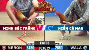 TRẬN 8 CPC2 NGÀY 20/5/2026