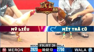 TRẬN 20 CPC3 NGÀY 11/5/2026