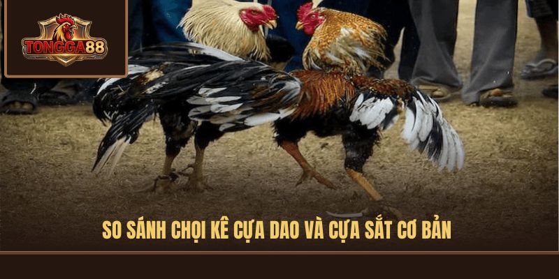 đá gà cựa sắt