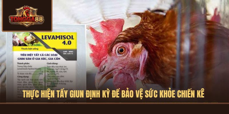 CÁCH TẨY GIUN GÀ