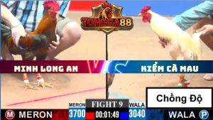 TRẬN 9 CPC3 NGÀY 8/6/2026